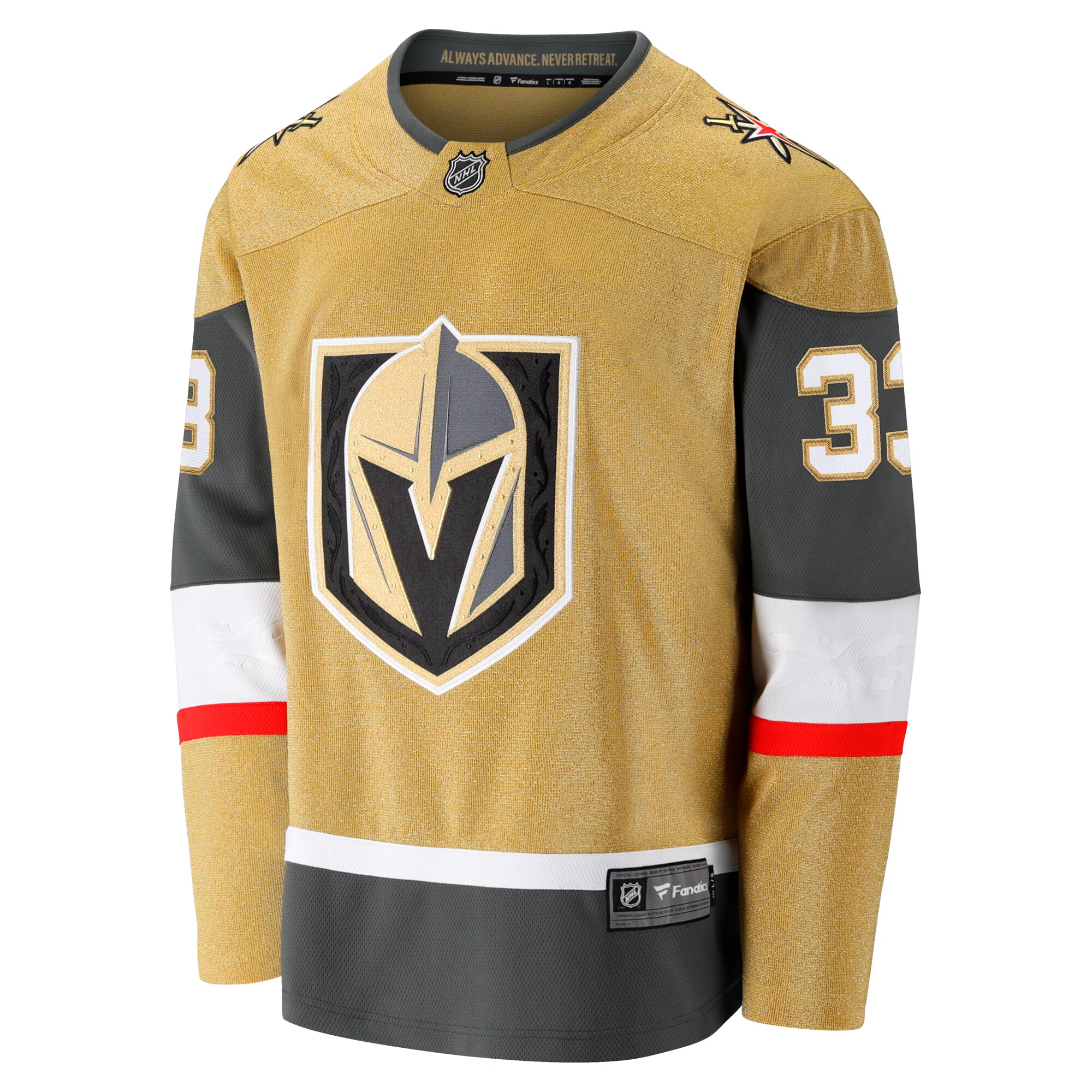 Adin Hill Vegas Golden Knights Fanatics Home Breakaway Jersey – Gold Clowdercats