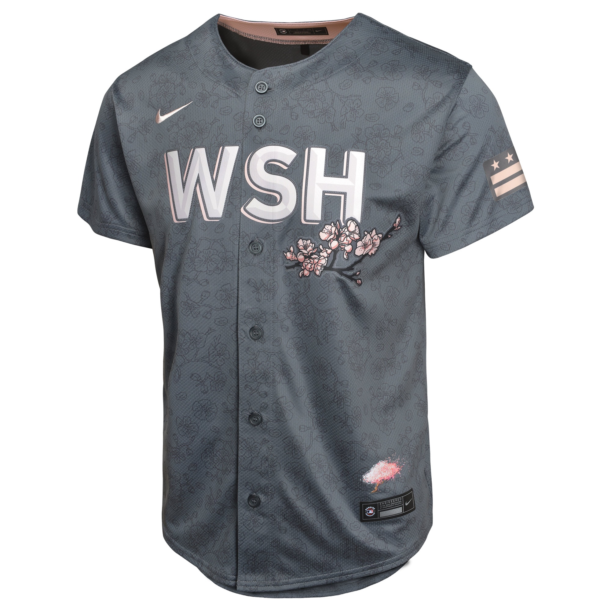 C.J. Abrams Washington Nationals Nike Youth City Connect Limited Player Jersey – Charcoal