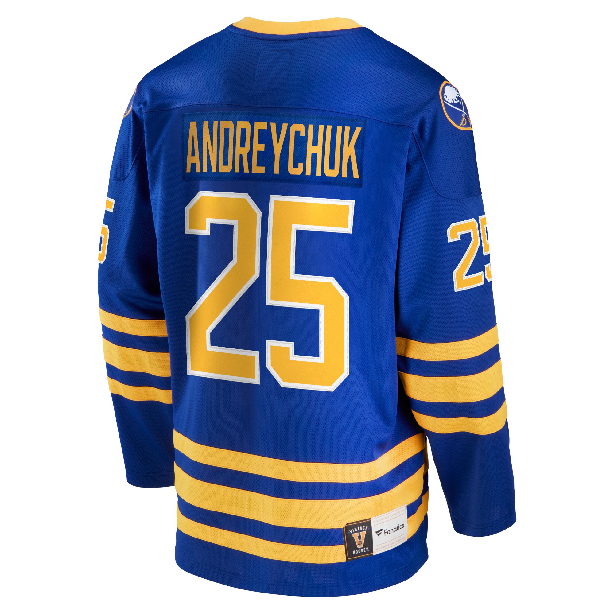 Dave Andreychuk Buffalo Sabres Fanatics Breakaway Retired Player Jersey – Royal Clowdercats